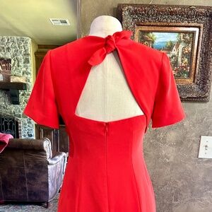 Diane Von Furstenberg Rose Scorn Dress Size 2